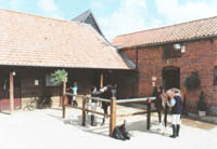 Facilities at Tunstall Forest Livery