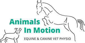 Animals In Motion