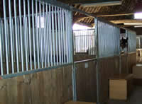 Facilities at Tunstall Forest Livery