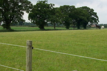 Tunstall Forest Livery